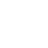 fly icon