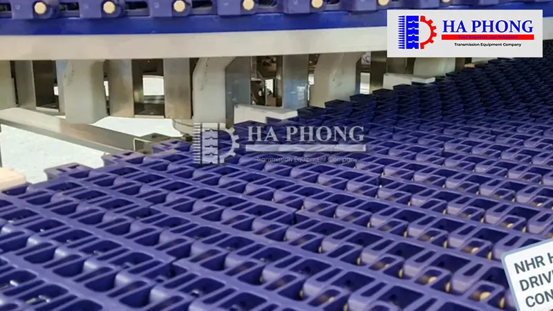 Bangtaihaphong dai ly bang tai habasit viet nam 2