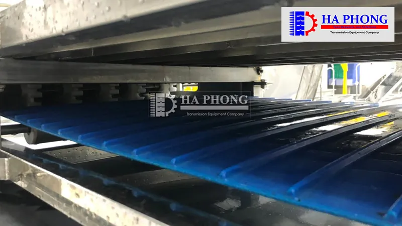 Bangtaihaphong dai ly bang tai habasit viet nam 6