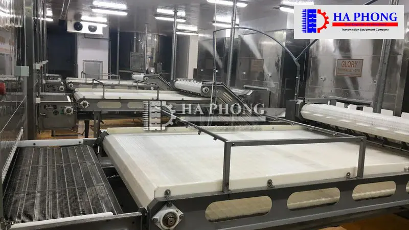 Băng tải nhựa Hong's belt HS-103B-HD-N Ứng dụng băng tải HONGSBELT HS-103B-HD-N