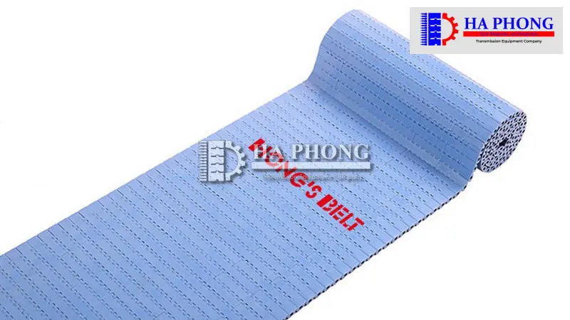 Băng tải nhựa Hong’s belt HS 1100 A-N bước 15.2mm Ứng dụng băng tải nhựa Hong’s belt HS 1100 A-N
