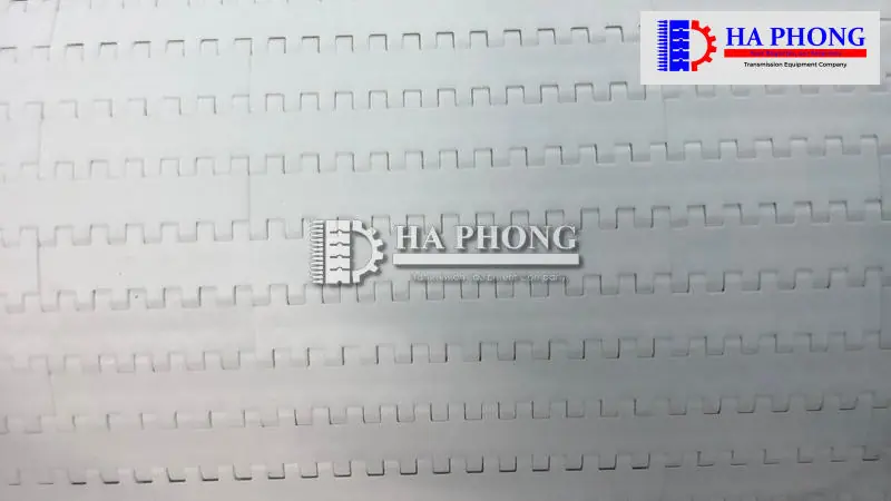 Băng tải ngành công nghiệp giấy và bao bì đóng gói