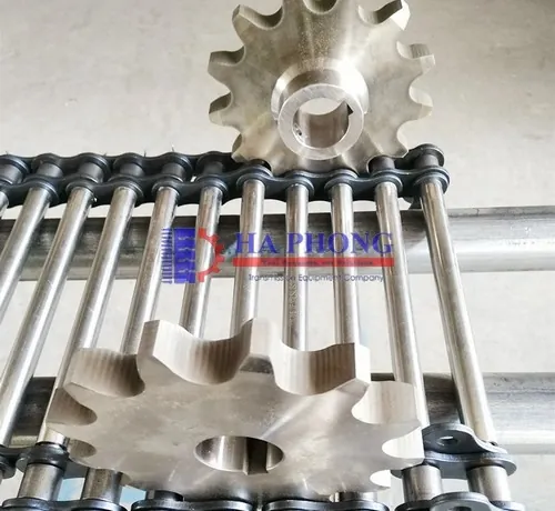 Băng tải inox cây ty