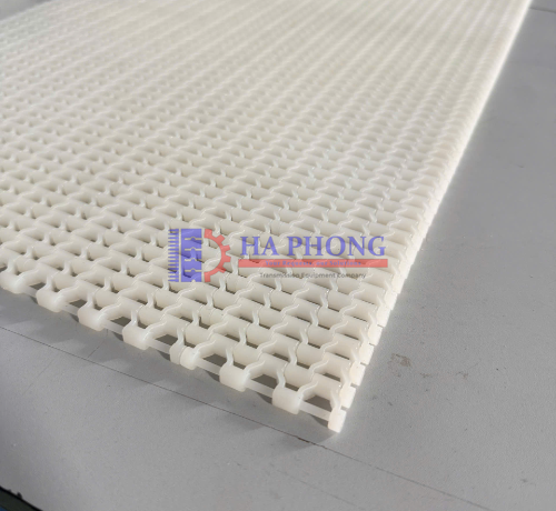 Băng tải máy dò kim loại Hong's belt Hs 400B