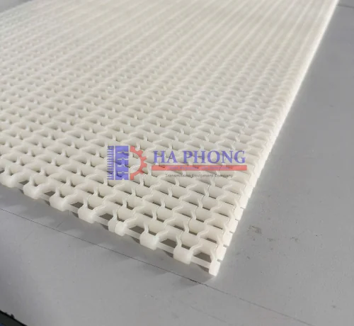 Băng tải máy dò kim loại Hong's belt Hs 400B