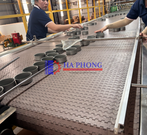 Băng tải nhựa Hong’s belt HS 1000A mặt kín bước 19.05mm