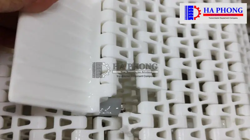 Cánh gờ băng tải nhựa - Modular Belt