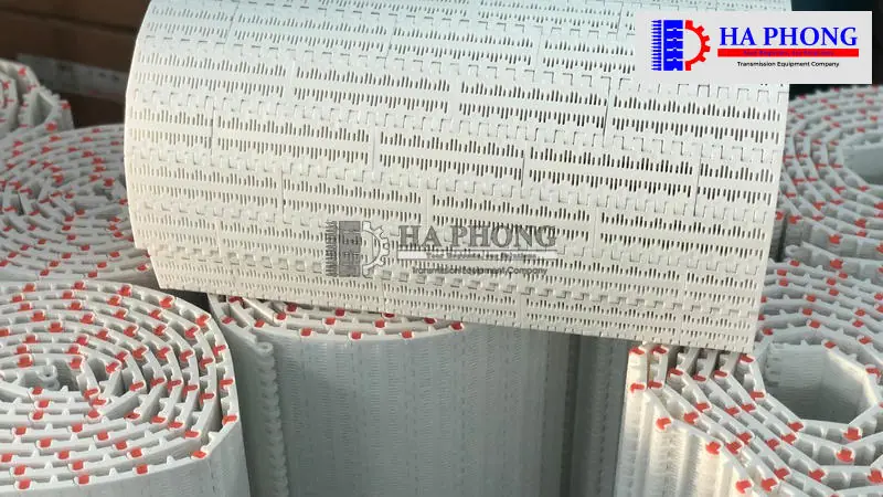 Băng tải nhựa - Modular Belt