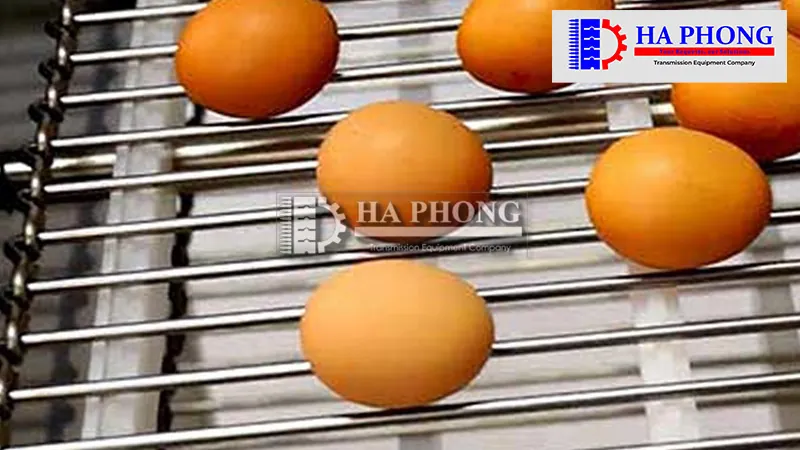 Băng tải lưới inox dạng thang 1 hàng