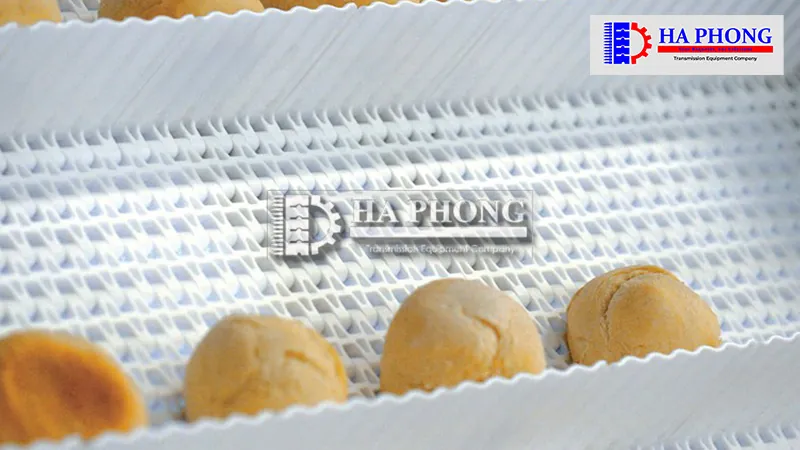 Băng tải nhựa habasit M2533