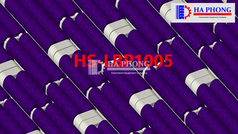 THÔNG SÔ KỸ THUẬT BĂNG TẢI HS-LBP 1005