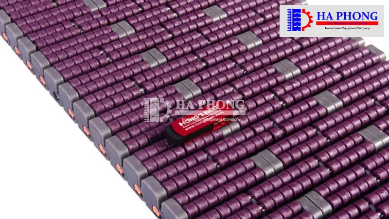 Băng tải nhựa Hong’s belt HS-LBP1005