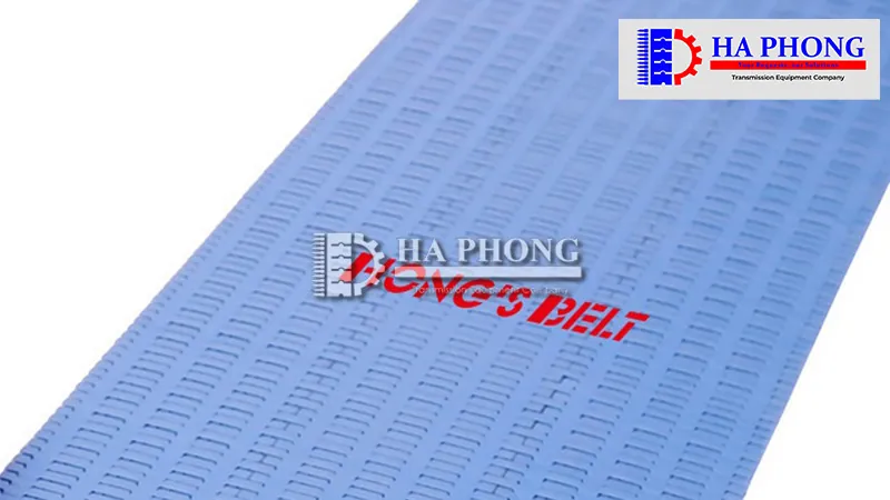 Băng tải nhựa Hong’s belt HS 4000A bước siêu nhỏ 5mm Băng tải nhựa HS-4000A