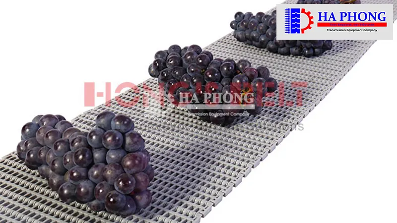 bangtaihaphong bang tai nhua hongs belt hs 700b n mat nuoc ho buoc 272mm 11