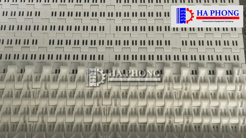 Băng tải nhựa HS-1000B Cận cảnh bề mặt trên và dưới của băng tải HS-1000B