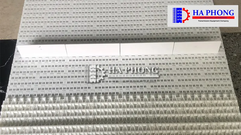 Băng tải nhựa HS-1000B bangtaihaphong bang tai nhua hs 1000b 4