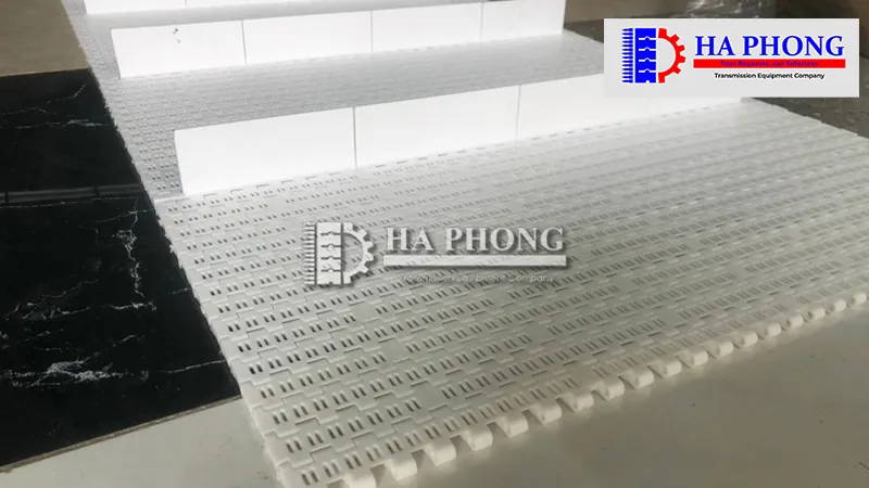 Băng tải Hongs Belt ngành chế biến tôm, cá và thủy hải sản