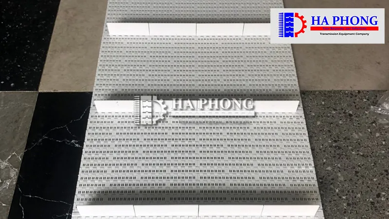 Băng tải nhựa HS-1000B Lắp ráp băng tải nhựa HS-1000B