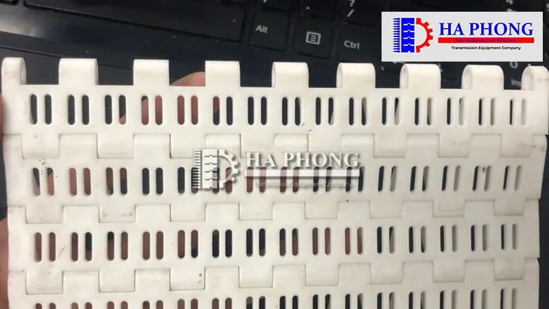 Băng tải nhựa HS-1000B Mẫu băng tải nhựa HS-1000B