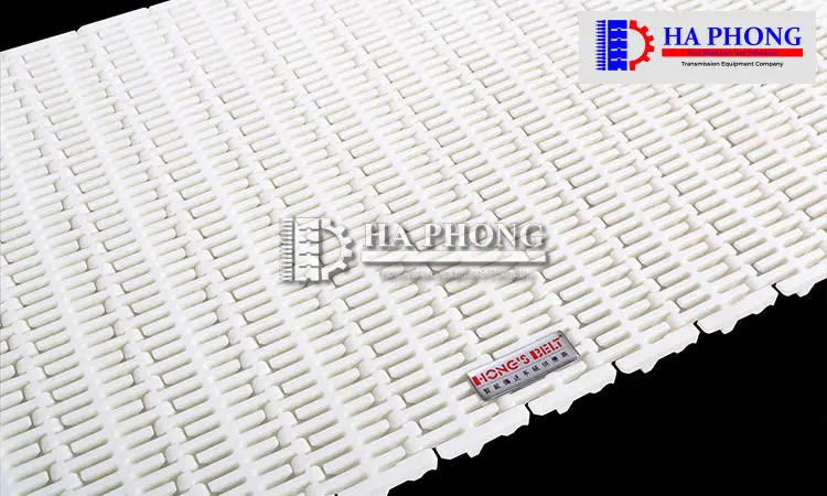 Băng tải nhựa Hong's belt HS-103B-HD-N Kích thước băng tải HONGSBELT HS-103B-HD-N