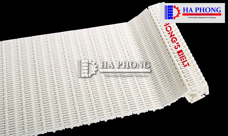 Băng tải nhựa Hong's belt HS-103B-HD-N HONGSBELT HS-103B-HD-N