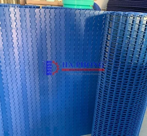 Băng tải nhựa Hong’s belt HS 1000A