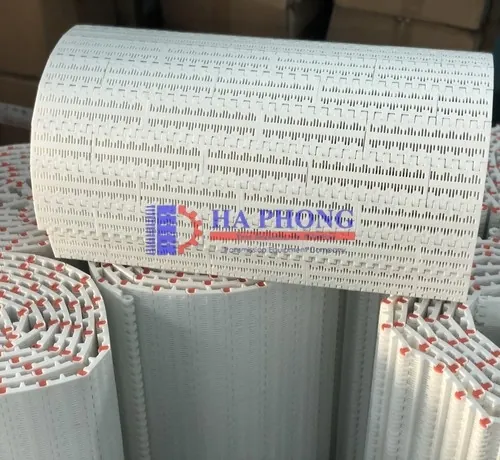 Băng tải ngành chế biến rau củ quả