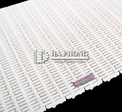 Băng tải nhựa Hong's belt HS-103B-HD-N hongsbelt hs 103b hd n 2 5139