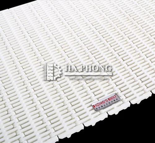 Băng tải nhựa Hong's belt HS-103B-HD-N Băng tải nhựa Hong's belt HS-103B-HD-N - Ảnh 3