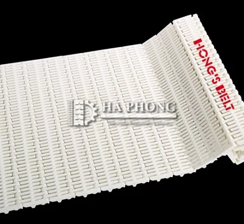 Băng tải nhựa Hong's belt HS-103B-HD-N Băng tải nhựa Hong's belt HS-103B-HD-N - Ảnh 7