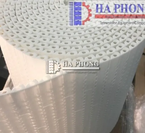 Băng tải nhựa Hong’s belt HS 1100 A-N bước 15.2mm Băng tải nhựa Hong’s belt HS 1100 A-N bước 15.2mm - Ảnh 5