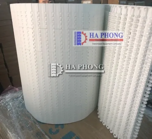 Băng tải nhựa Hong’s belt HS 1100 A-N bước 15.2mm Băng tải nhựa Hong’s belt HS 1100 A-N bước 15.2mm - Ảnh 4