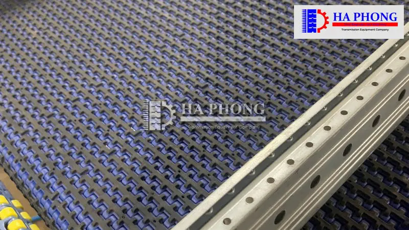 Băng tải nhựa Hong’s belt HS 1500 bước 12.7mm Ứng dụng của băng tải nhựa Series HS-1500