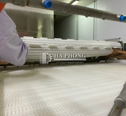 Băng tải nhựa Hong's belt HS-103B-HD-N hs 103b hd n 2 9550