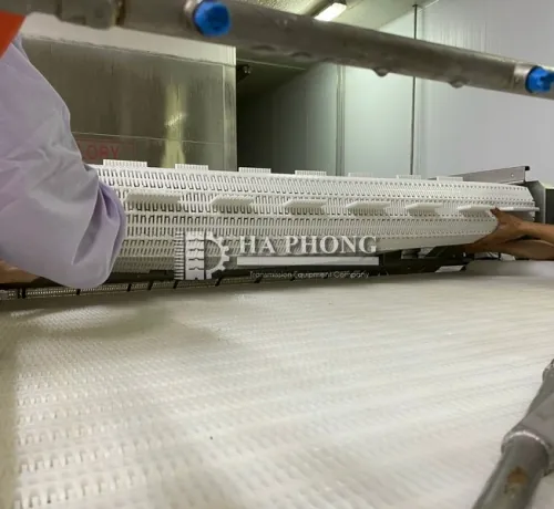 Băng tải nhựa Hong's belt HS-103B-HD-N Băng tải nhựa Hong's belt HS-103B-HD-N - Ảnh 4