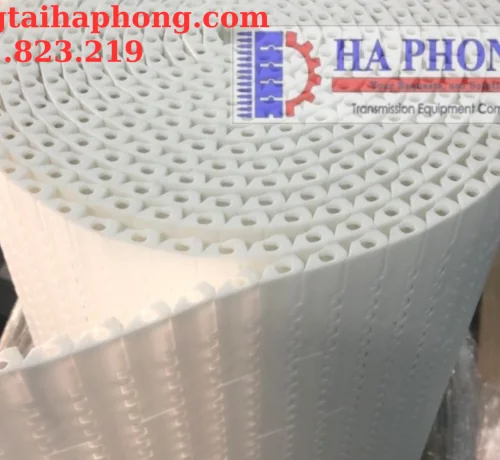 Băng tải nhựa Hong’s belt HS 1100 bước 15.2mm Băng tải nhựa Hong’s belt HS 1100 bước 15.2mm - Ảnh 4
