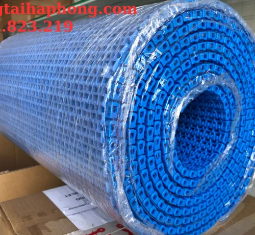 Băng tải nhựa Hong’s belt HS 1100 bước 15.2mm Băng tải nhựa Hong’s belt HS 1100 bước 15.2mm - Ảnh 3