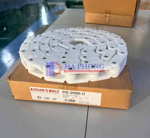 Băng tải xích nhựa Hongsbelt HS-2600