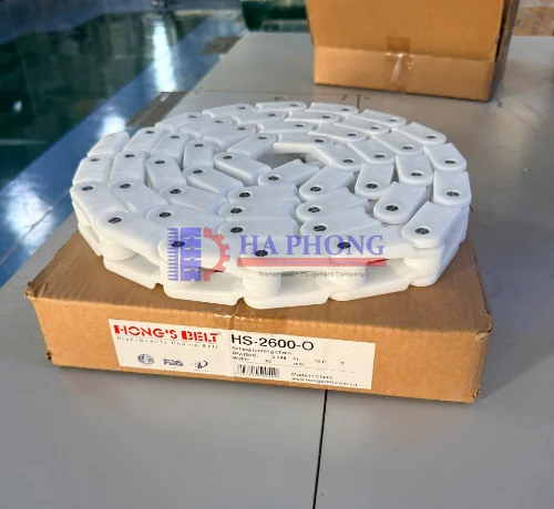 Băng tải xích nhựa Hongsbelt HS-2600