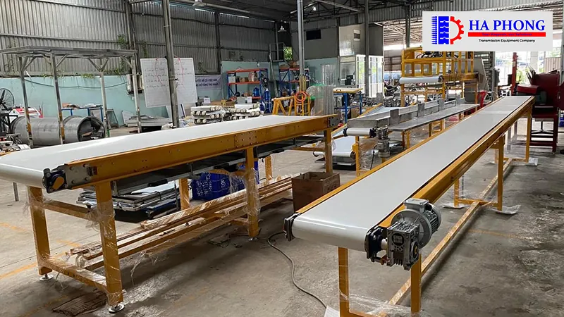 Dự án thực tế: Lắp đặt hệ thống băng tải sản xuất Mỳ z5942766665949 767a4d3328b80ffdf45bed1d6b3aada5