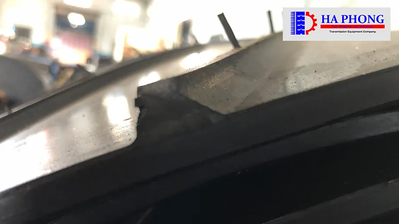 bangtaihaphong bang tai cao su den gan V 8