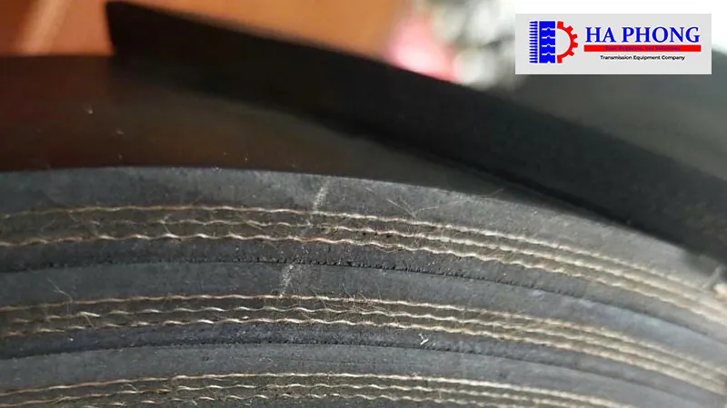 LẮP ĐẶT BĂNG TẢI CAO SU TRƠN