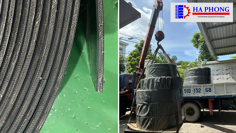 Đặc điểm băng tải gầu