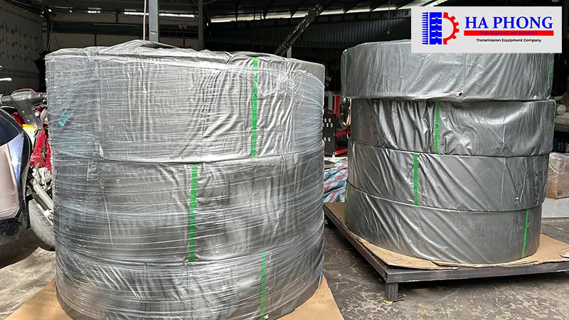 Thông số kỹ thuật băng tải gầu