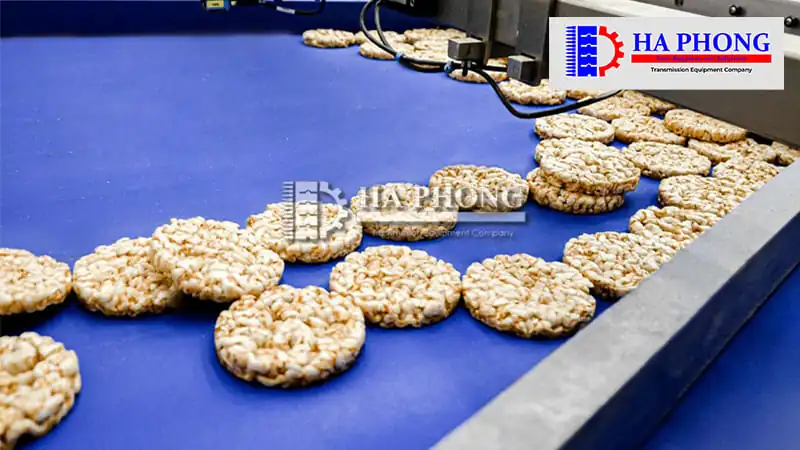 Các loại băng tải thực phẩm phổ biến