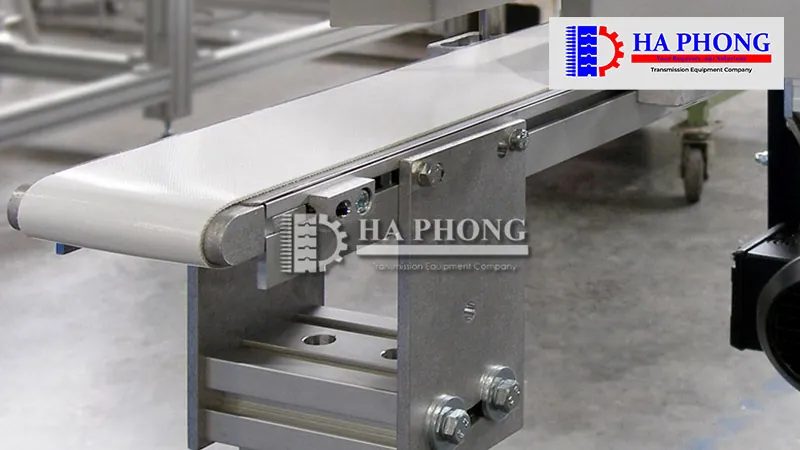 Tại sao cần sử dụng băng tải chế biến thực phẩm