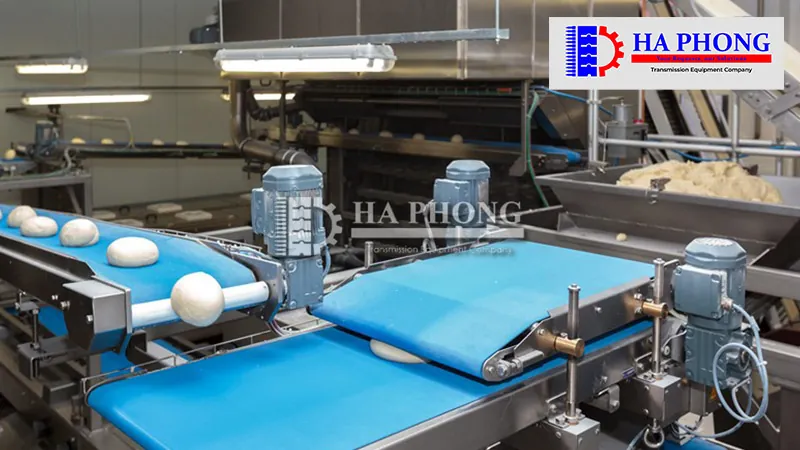 Ứng dụng của băng tải thực phẩm