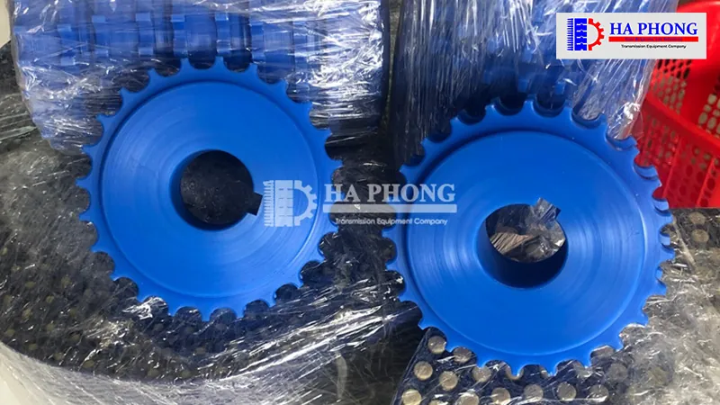 Băng tải nhựa Habasit M1220 Flat top Kỹ thuật viên lắp ráp theo tiêu chuẩn từ các chuyên gia Habasit đào tạo