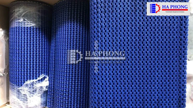 Băng tải Habasit M1234 Nut top Băng tải nhựa nút chống dính Habasit M1234 Nut Top