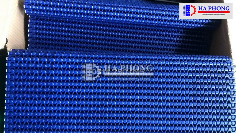 Băng tải Habasit M1234 Nut top Băng tải nhựa nút chống dính Habasit M1234 Nut To